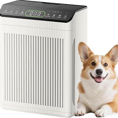 Air Purifiers for Home Large Room up 1