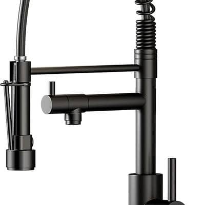 Kitchen Faucet with Pull Down Sprayer Dual 1