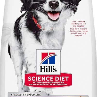 Hills Science Diet Adult Oral Care Small 1