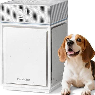 Air Purifiers for Smoke Large Room 1