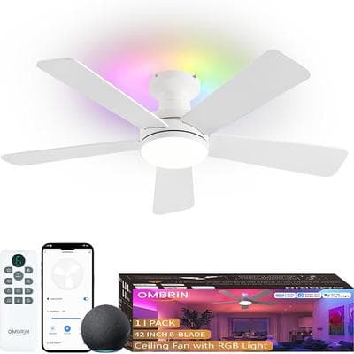 42 Inch Smart Ceiling Fan with Light 1