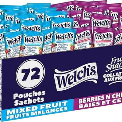 Welchs Fruit Snacks 1